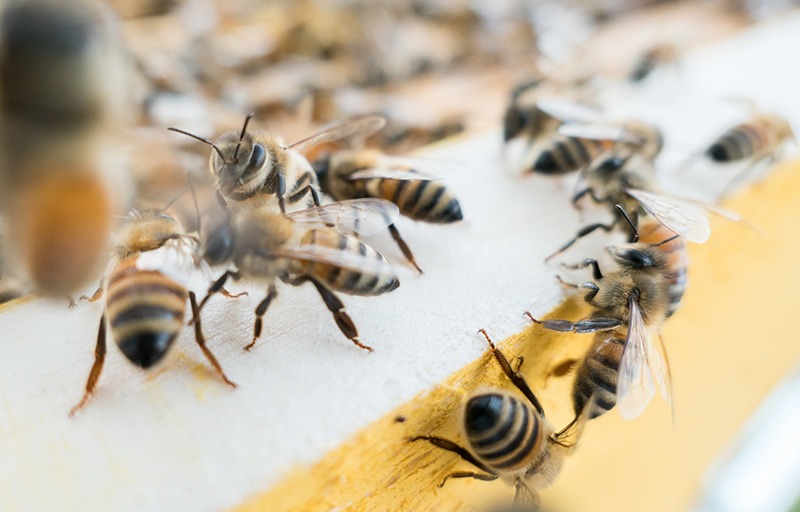 Workshops und Führungen